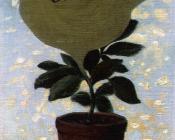 雷内 马格里特 : 有字的植物